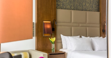 Room Habitación Premium